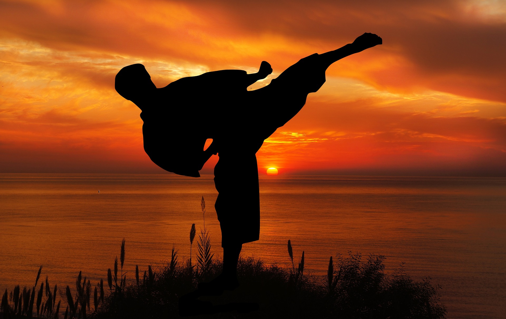 the-shocking-effect-of-learning-japanese-martial-arts-8-reasons-why